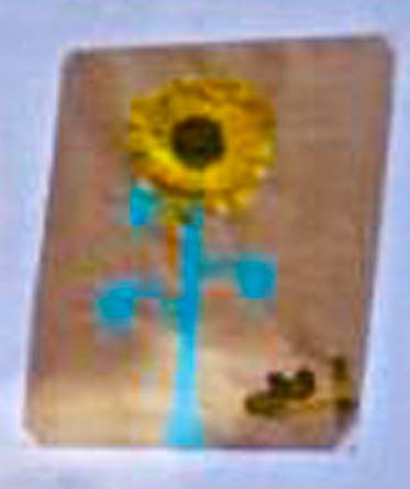 Arteterapia em Novo Horizonte - SP